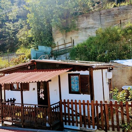 Bungalow Sixdays 2 Camporosso  Exterior photo